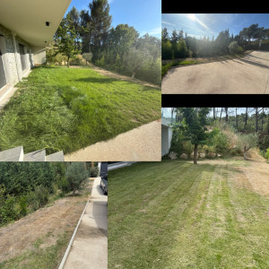 Photo de galerie - Tonte de pelouse - Débroussaillage