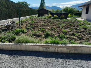 Photo de galerie - Paysagiste - Aménagement du jardin