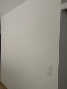Photo de galerie - Peinture murale 