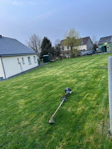 Photo de galerie - Premier tonte 