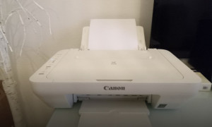 Photo de galerie - Réparation imprimante 