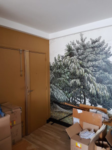 Photo de galerie - Peinture et revêtement mur 3D