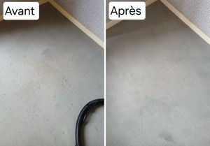 Photo de galerie - Nettoyage moquette 