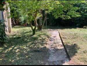 Photo de galerie - Tonte de pelouse - Débroussaillage