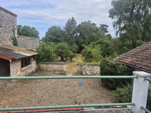 Photo de galerie - Tonte de pelouse - Débroussaillage
