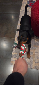 Photo de galerie - Du jeux à volonté avec Océane !