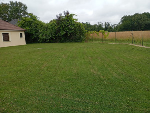 Photo de galerie - Tonte de pelouse - Débroussaillage