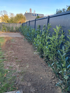 Photo de galerie - Plantation 