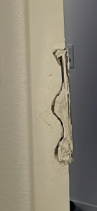 Photo de galerie - Réparation de porte les (gon) ect....