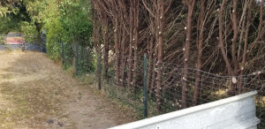 Photo de galerie - Dégagement de clôture 