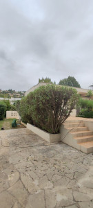 Photo de galerie - Taille de haie 