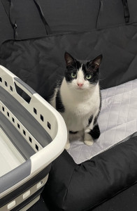 Photo de galerie - Visite à domicile 