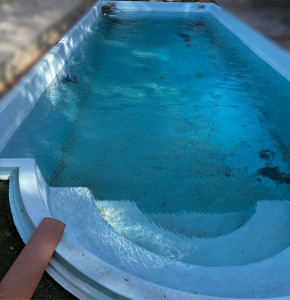 Photo de galerie - Piscine avant nettoyage 