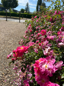 Photo de galerie - Nettoyage 