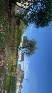 Photo de galerie - Abattage