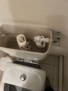 Photo de galerie - Remplacement de chasse d’eau