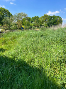 Photo de galerie - Avant après entretien jardin 