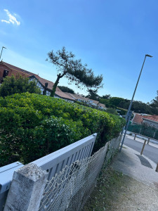 Photo de galerie - Jardinier