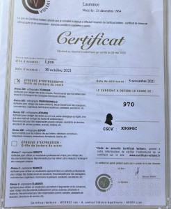 Photo de galerie - 970 points obtenus au Certificat Voltaire : niveau expert (professionnels de l'écrit)