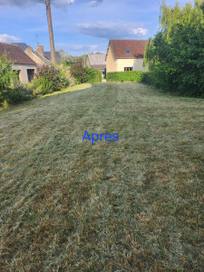 Photo de galerie - Tonte de pelouse - Débroussaillage