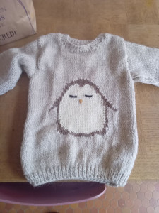 Photo de galerie - Pull enfant 