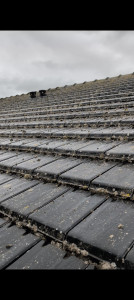 Photo de galerie - Avant démousage de toiture 