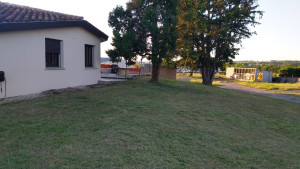 Photo de galerie - Entretien en extérieur, tonte, taille, debrousaillage...