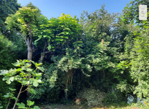 Photo de galerie - Avant