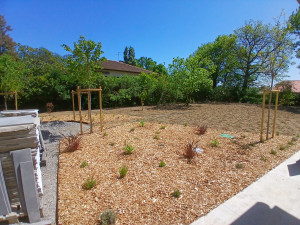 Photo de galerie - Realisation d'une plantation sur commande d'une entreprise locale.