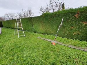 Photo de galerie - Taille de haies