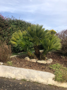 Photo de galerie - Jardinier