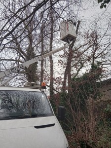 Photo de galerie - Abbatage  d'arbre  bulau 