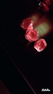 Photo de galerie - Rose en sucre tiré