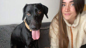 Photo de galerie - Garde chien