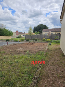 Photo de galerie - Elagage et coupe d'arbres