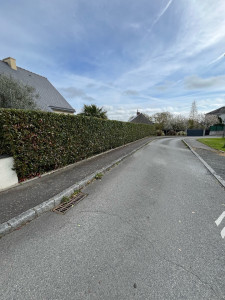 Photo de galerie - Taille d’une haie de photinia 