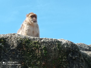 Photo de galerie - Photographe