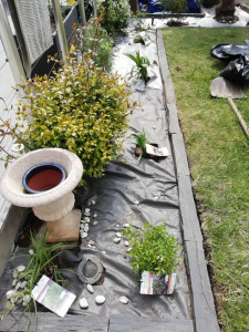 Photo de galerie - Paysagiste - Aménagement du jardin