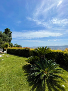 Photo de galerie - Taille de haies et d'arbustes