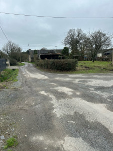 Photo de galerie - Elagage et coupe d'arbres