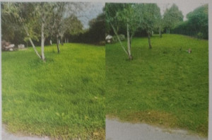 Photo de galerie - Avant-après tonte d'un terrain de 1200m2 à mosnac 17240. hauteur d'herbe 15cm environnement. Mon numéro de téléphone est le 0760947964