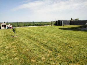 Photo de galerie - Tonte et débroussailleuse tout les quinze jours.