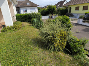 Photo de galerie - Tonte de pelouse - Débroussaillage