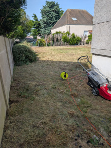Photo de galerie - Tonte de pelouse - Débroussaillage