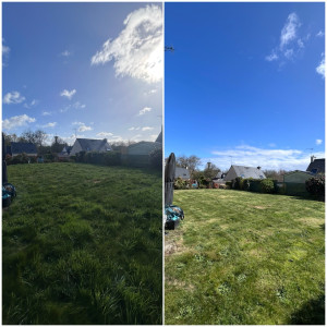 Photo de galerie - Tonte de pelouse - Débroussaillage