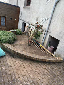 Photo de galerie - Tonte de pelouse - Débroussaillage