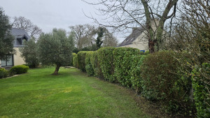 Photo de galerie - Jardinier