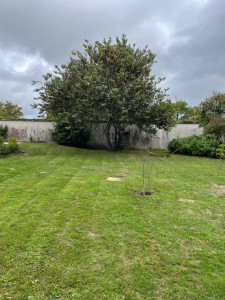 Photo de galerie - Jardinier