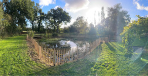 Photo de galerie - Nettoyage complet de la mare et installation de ganivelles 