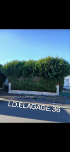 Photo de galerie - Taille de haies et d'arbustes